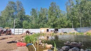 Кормушка для пруда "ютубовская". Отзыв об хлорелле для пруда