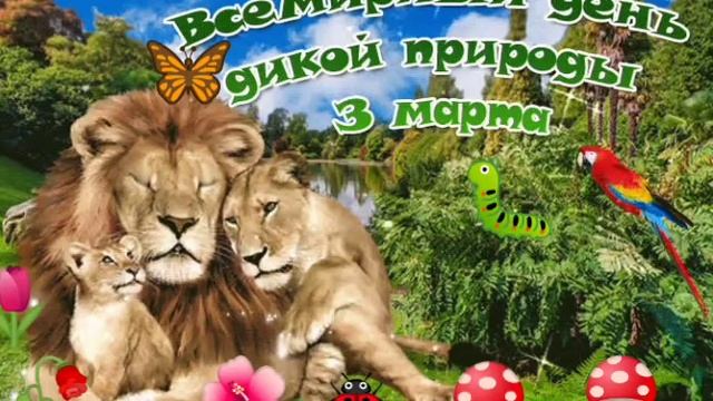 сегодня праздник! давайте защищать нашу природу,животных и все живое на земле.????????????