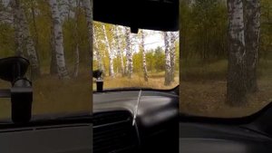 Прайд джуниор про 12