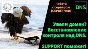 Что делать, если хакеры украли домен? Восстановление контроля над DNS.