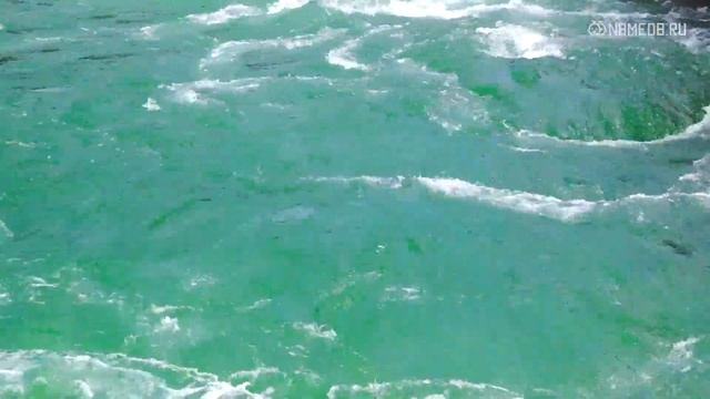 Значение имени Артемий: карма, характер и судьба смотреть онлайн