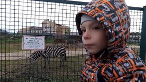 The first trip to the zoo. Первый поход в зоопарк. Ярославский зоопарк.