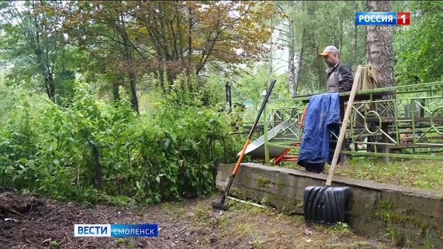 Смоленские коммунальщики вынуждены вручную убирать кладбище в Анастасино