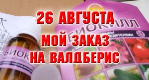 26 августа. Мой заказ на Валдберис
