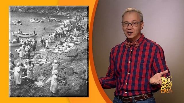 Всё обо всём. Выпуск 20.07.23 г.