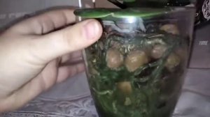 Цветение орхидеи I-Hsin Cherry Bomb (Черри Бомб)