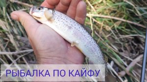 Рыбалка по КАЙФУ. Рыбалка на горной речке. Рыбалка приморский край. Рыбалка Владивосток.
