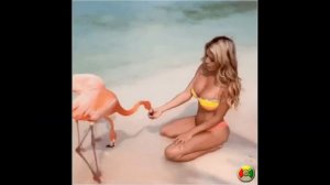 Девушка из отеля Калифорния