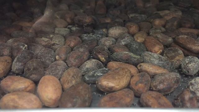 Обжарка какао-бобов