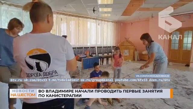 Во Владимире начали проводить первые занятия по канистерапии смотреть онлайн