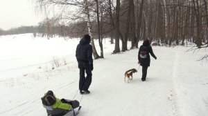 2015.01.09.Парк Кузьминки