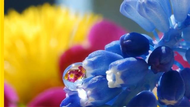 Поздравления день рождения мужчине проза смотреть онлайн