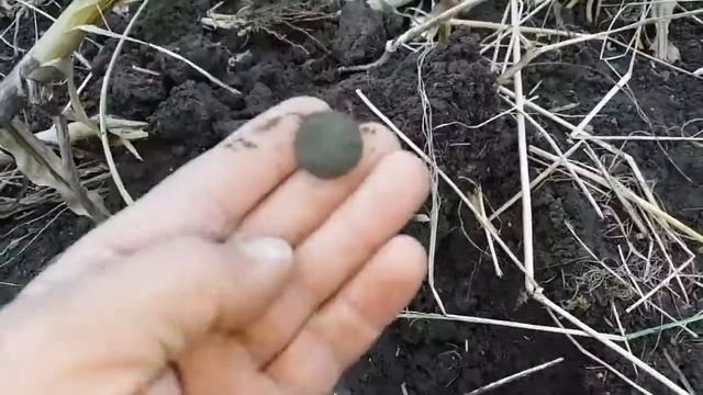 Баня на сём Kundzini и Коп Клип 18 смотреть онлайн