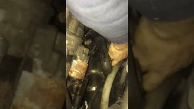 Vw T5.1 Caravelle 2011 underneath bitdi смотреть онлайн