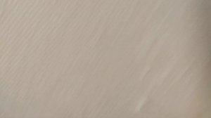 Уничтожение клопов генератором тумана.