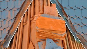 Натуральная черепица бобровый хвост, карповка, чешуя