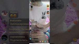 Алкаши и быдло в Друг вокруг