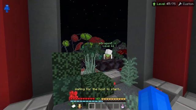 Bedrock Skywars PRO VS Java Skywars PRO
