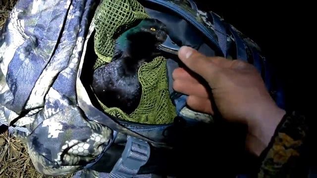 Ловим руками дикую утку или очередной день из весенней охоты 2018г !!! смотреть онлайн