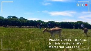 Dublin’s Phoenix Park & Irish National War Memorial Gardens