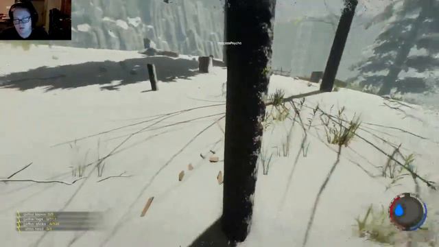 The Forest with your favorite gamer girls! смотреть онлайн