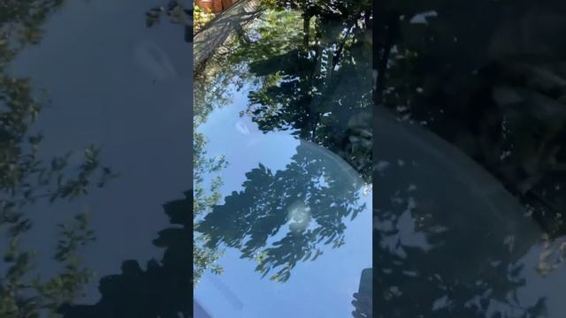 Тонировка 35 в круг лоб 80 атермалка смотреть онлайн