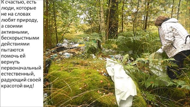 Ecology/ Чудеса Ладоги: Ладожские шхеры. смотреть онлайн