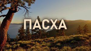 Пасха | Молодежный хор