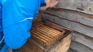 УЛЕЙ "ВЕЛИКОРУСЬКИЙ"™ Часть 23. Утепление зимой. Принцып КОЛПАКА