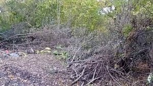 г. Миллерово, Ростовской области.