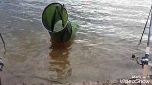 Рыбалка на Оке в районе Белоомута. 2020 или шестеро без лодки не считая собаки)