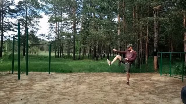 Синъицюань \ Xingyiquan