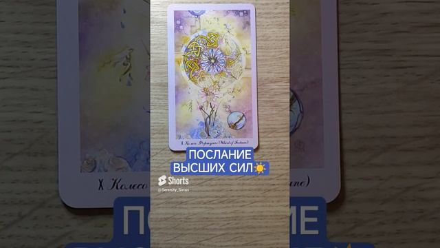 ПОСЛАНИЕ ВЫСШИХ СИЛ☀