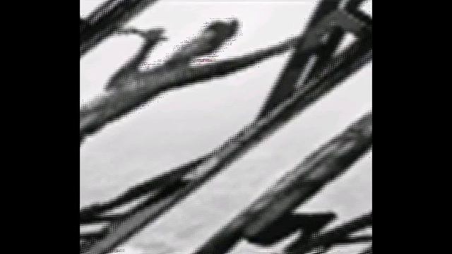 RG150120 038 На Винзаводе открылась выставка, посвященная