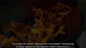 Штраф за разведение костра