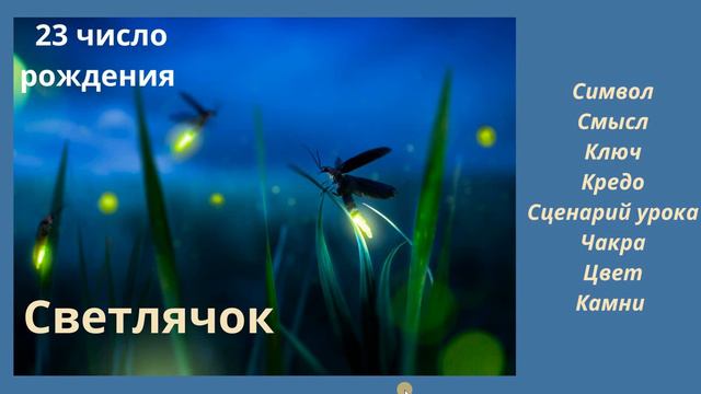 КАРМИЧЕСКИЙ УРОК РОЖДЕННЫХ 23 ЧИСЛА