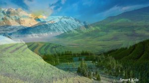 Дикие Животные | Учим самых больших хищных кошек в мире