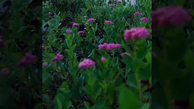 До 23.04. прожить так как хочу прожить следующие 20 лет с благодарностью смотреть онлайн