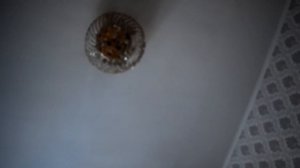 Установка первой сборки Windows XP ZVER