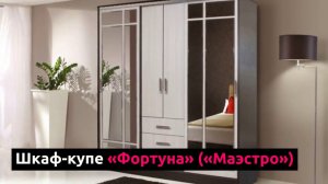 Шкаф купе "Фортуна" ("Маэстро")