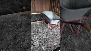 Не Хватило 10 тонн Асфальтовой крошки/Берём  ещё 5 тонн крошки/Дачная жизнь Газелиста Холостяка/