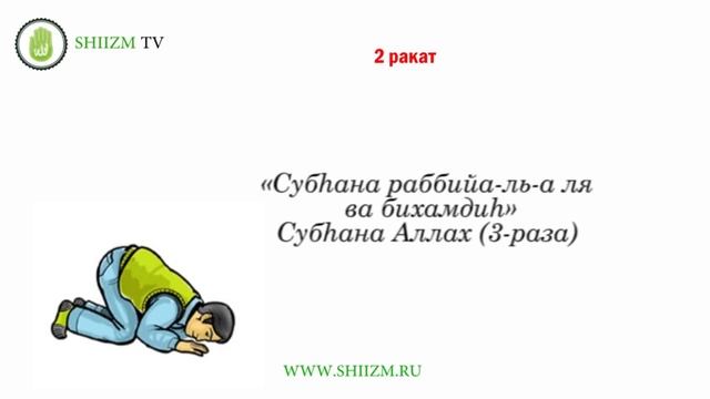 Шиитский намаз - обучение ночному намазу