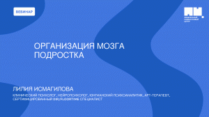 Организация мозга подростка