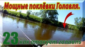 Мощные поклёвки Голавля На Спиннинг. Подборка Реализованных Поклевок Голавля На Воблеры 23.