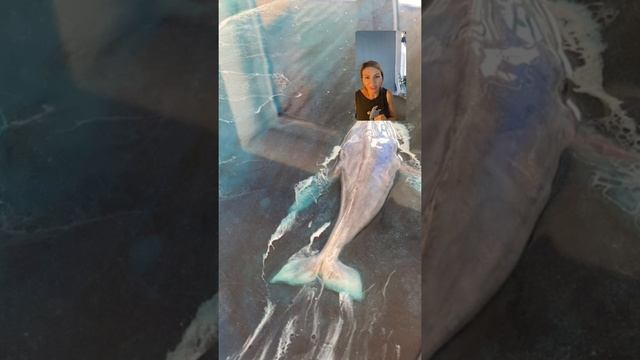 Черепахи и киты смотреть онлайн