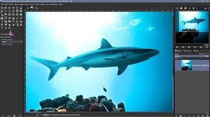 Gimp vs Photoshop - A Complete Comparison