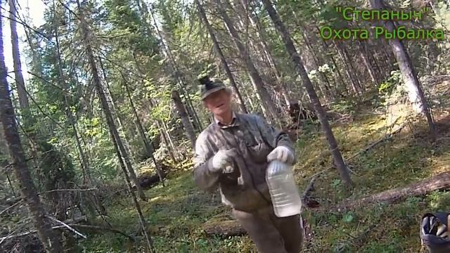 Как построить быстрый солонец для лесных обитателей смотреть онлайн