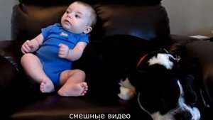 СМЕШНЫЕ ВИДЕО СТРАШНЫЕ ПРИКОЛЫ