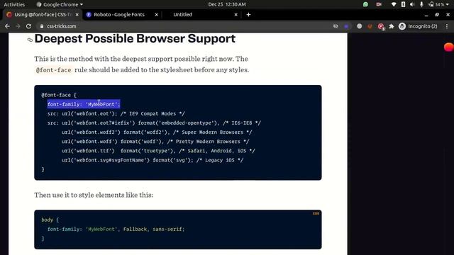 CSS Flex Box and Grid Complete Course in Pashto - DotCode - 05 Adding Google fonts