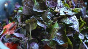 Соус Ткемали классический